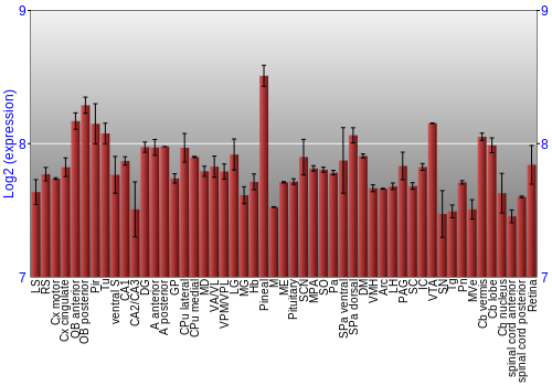 Expression graph