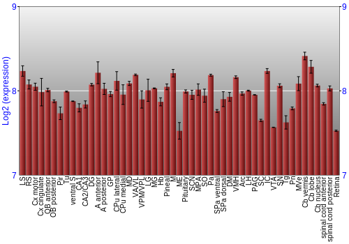 Expression graph