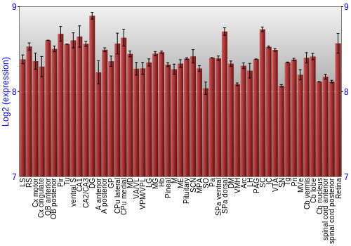 Expression graph