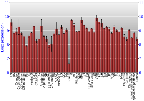 Expression graph