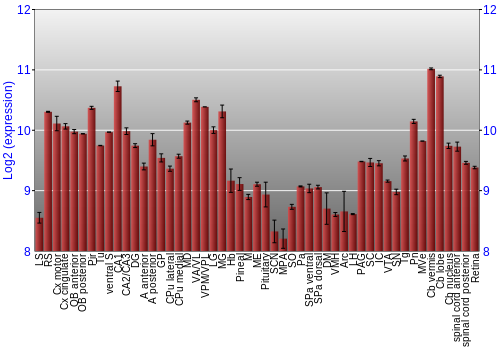 Expression graph