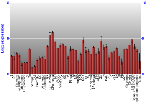 Expression graph