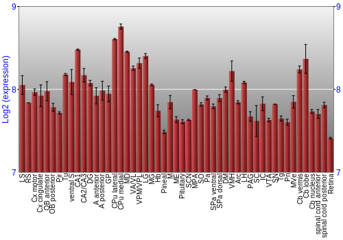 Expression graph