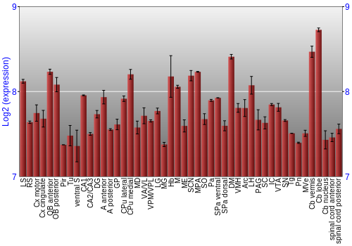Multi-state expression graph