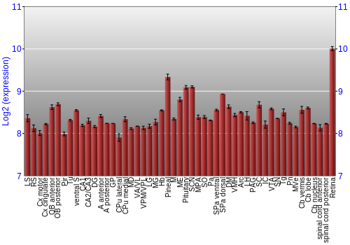 Expression graph