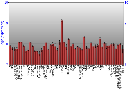 Expression graph