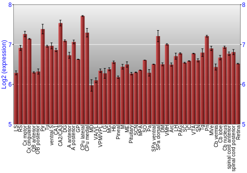Expression graph