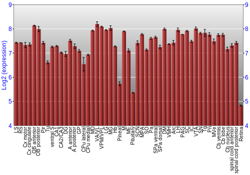 Expression graph