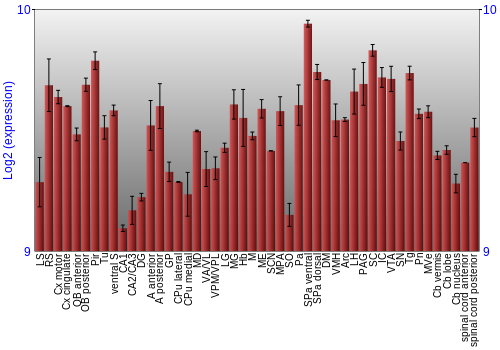Multi-state expression graph