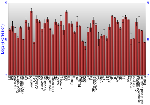 Expression graph