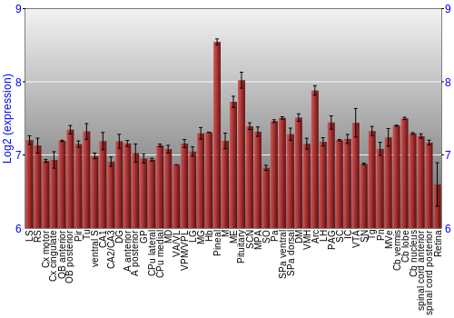 Expression graph