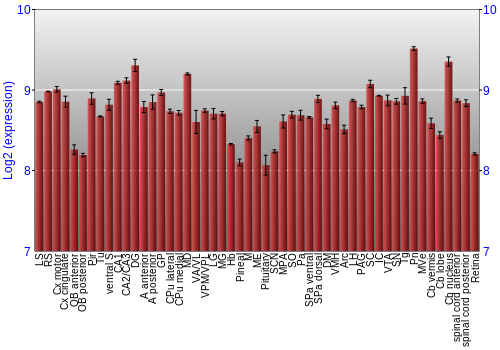 Expression graph