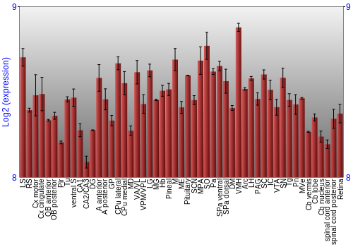Expression graph