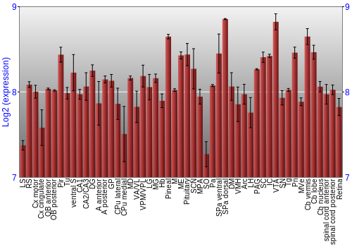 Expression graph