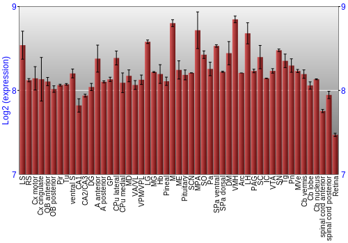 Expression graph