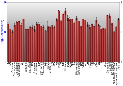 Expression graph