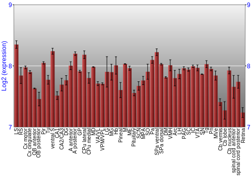 Expression graph