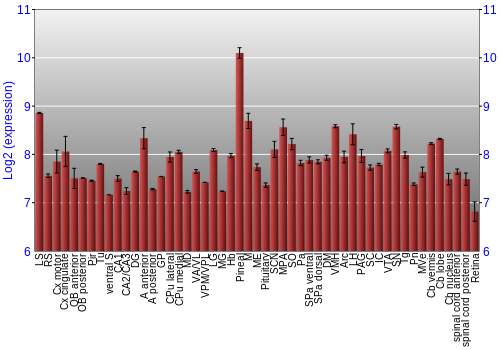 Expression graph