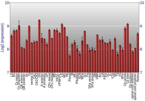 Expression graph