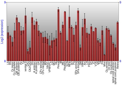 Expression graph