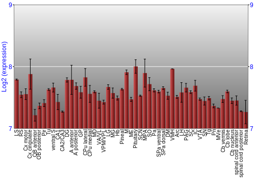 Expression graph