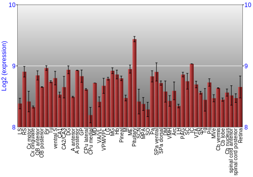 Expression graph