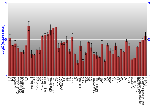 Expression graph
