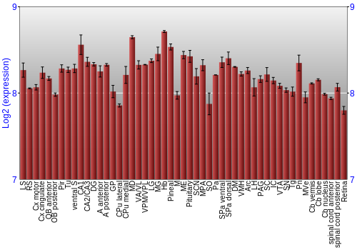 Expression graph