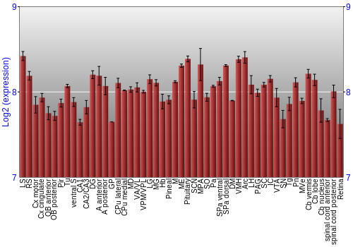 Expression graph