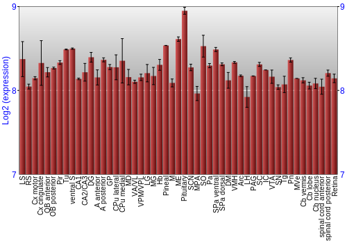 Expression graph
