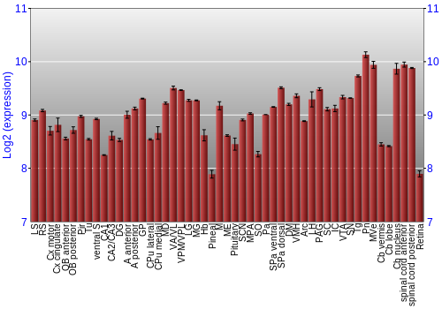 Expression graph