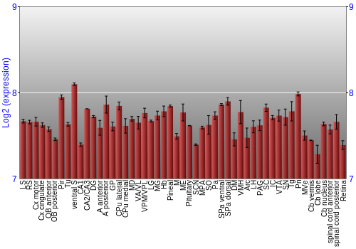 Expression graph
