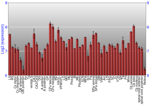Expression graph