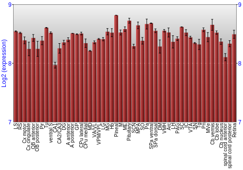 Expression graph