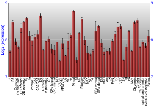 Expression graph
