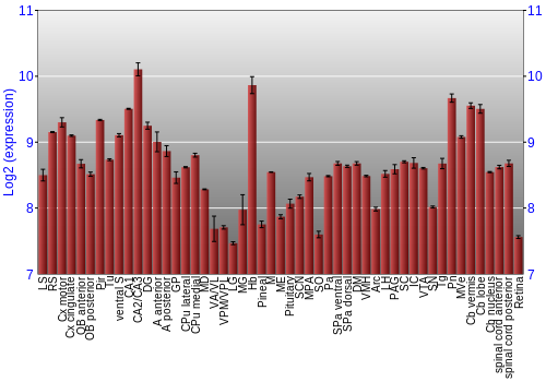 Expression graph