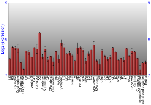 Expression graph