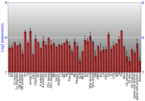 Expression graph