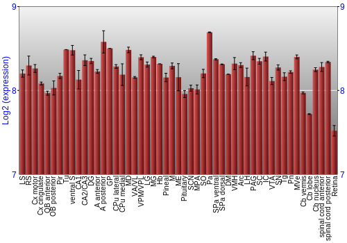 Expression graph