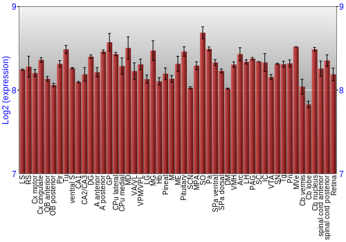 Expression graph