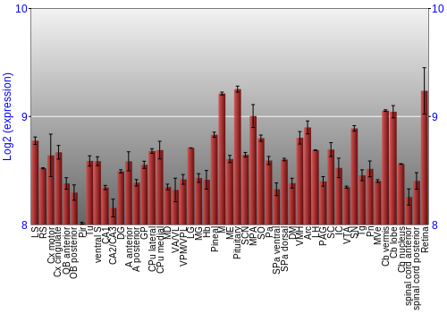 Expression graph
