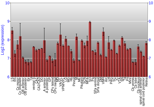 Expression graph