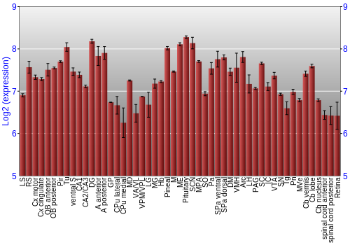 Expression graph