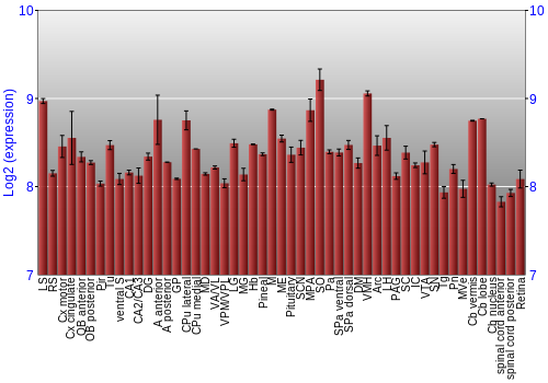 Expression graph