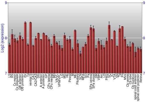 Expression graph