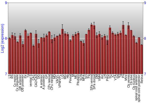 Expression graph