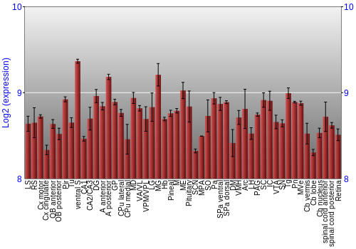 Expression graph