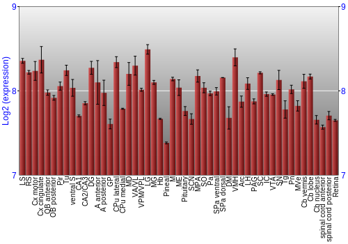 Expression graph