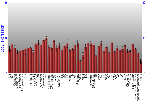 Expression graph