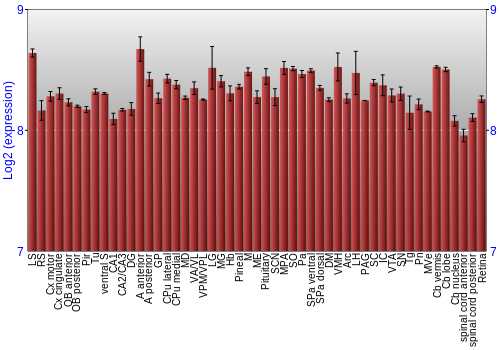 Expression graph